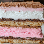 Neapolitan Ice Cream Sandwich recipe with chocolate, vanilla, and strawberry ice cream layers between soft cookies